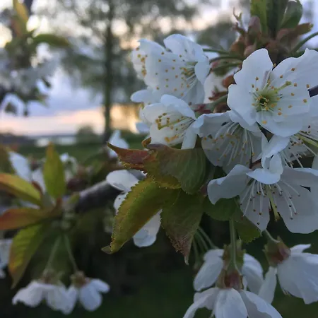 Sunset Over Water, 50 Mins From Copenhagen * Skibby