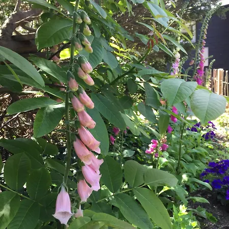 Σπίτι διακοπών Sunset Over Water, 50 Mins From Copenhagen
