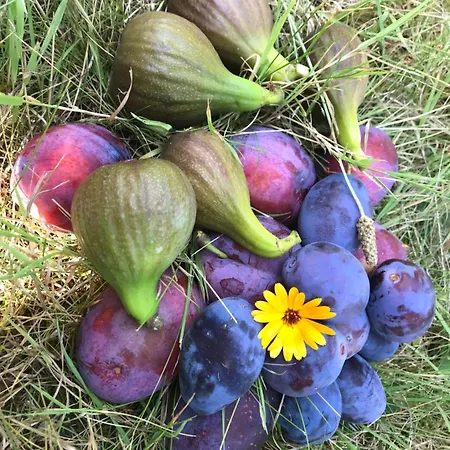 Σπίτι διακοπών Sunset Over Water, 50 Mins From Copenhagen *