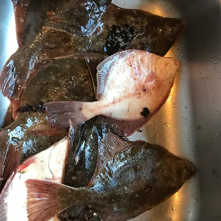 Σπίτι διακοπών Sunset Over Water, 50 Mins From Copenhagen