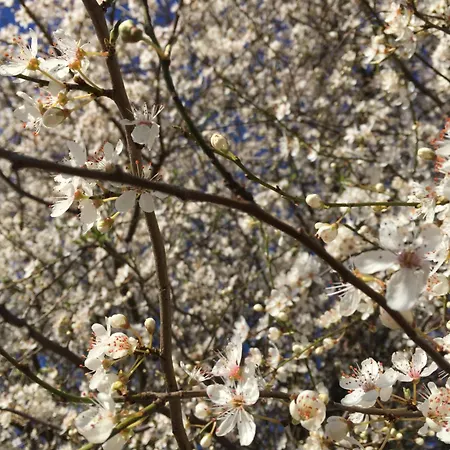 Sunset Over Water, 50 Mins From Copenhagen Skibby
