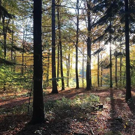 Sunset Over Water, 50 Mins From Copenhagen *