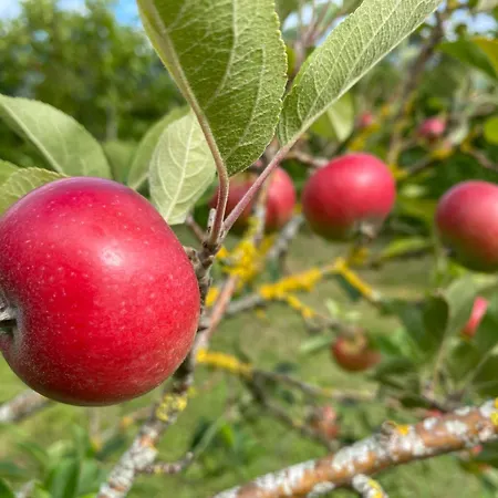 Sunset Over Water, 50 Mins From Copenhagen Σπίτι διακοπών Skibby