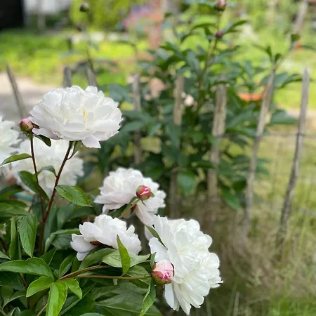 Σπίτι διακοπών Sunset Over Water, 50 Mins From Copenhagen Skibby