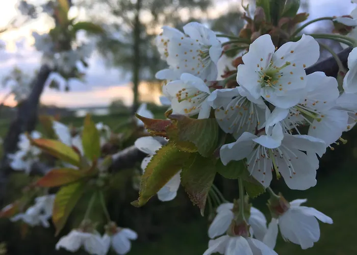 Sunset Over Water, 50 Mins From Copenhagen * Skibby