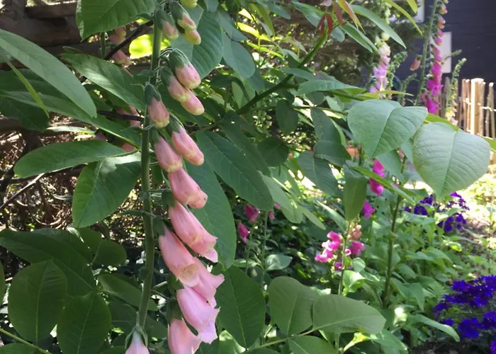 Semesterbostad Sunset Over Water, 50 Mins From Copenhagen
