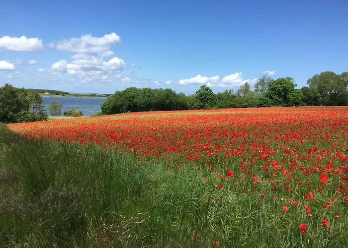 Sunset Over Water, 50 Mins From Copenhagen