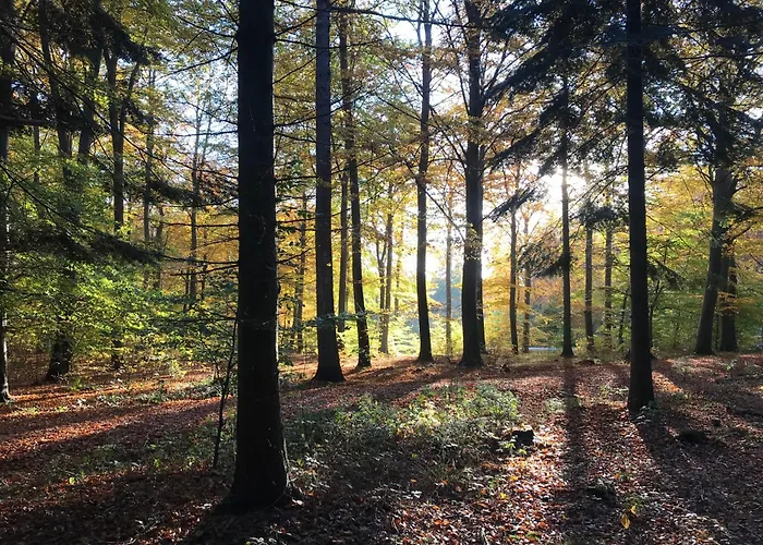 Sunset Over Water, 50 Mins From Copenhagen *