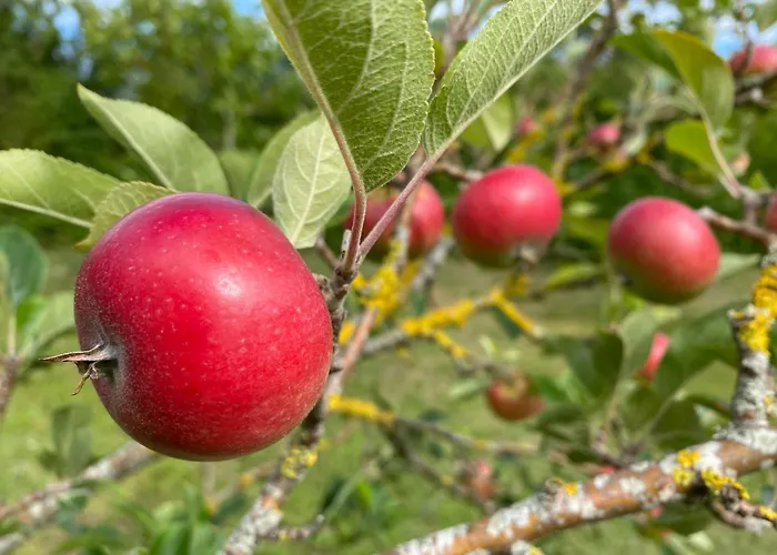 Sunset Over Water, 50 Mins From Copenhagen Semesterbostad Skibby