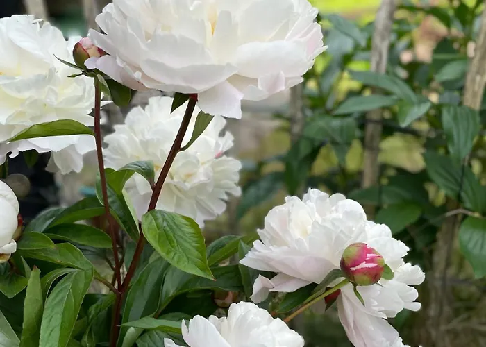 Sunset Over Water, 50 Mins From Copenhagen Semesterbostad Skibby
